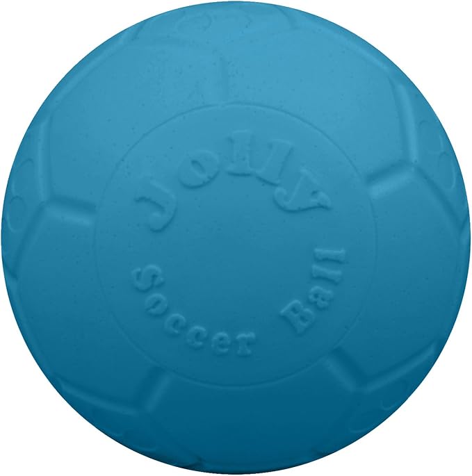 Jolly Pets Large Soccer Ball Floating-Bouncing Dog Toy, 8 inch Diameter, Ocean Blue