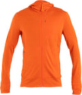 icebreaker Men's Merino 260 Quantum Long Sleeve Zip Hoodie