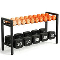 Dumbbell Rack, 2 Tier Weight Rack for Home Gym Adjustable, 31 inch weight storage racks Space-Saving, Kettlebells Holder Rack Organizer (Rack Only)