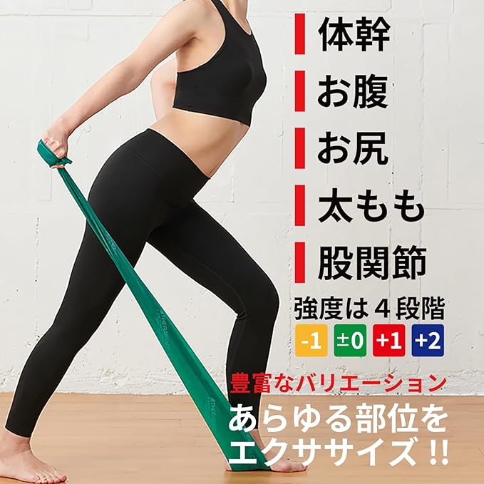 セラバンド トレーニングバンド トレーニングチューブ 1m マニュアル付 初心者 レジスタンスバンド フィットネスチューブ ストレッチバンド 筋トレ D&M ディーアンドエム Theraband 国内正規代理店 切って使える