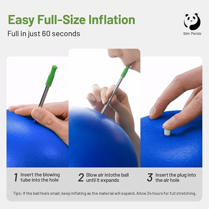 Slim Panda Pilates Ball, 9 Inch Small Exercise Ball, Anti Burst Mini Yoga Ball for Stability, Workout, Barre, Core Strength, Physical Therapy, Balance, Stretching