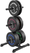 HANDBODE Weight Plate Rack with Barbell Storage, 6-Peg Vertical Holder for 1 or 2-Inch Plates, Heavy Duty 1100 lbs Capacity for Home Gym Organization