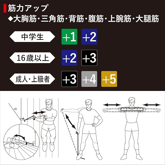 セラバンド トレーニングバンド トレーニングチューブ 1m マニュアル付 初心者 レジスタンスバンド フィットネスチューブ ストレッチバンド 筋トレ D&M ディーアンドエム Theraband 国内正規代理店 切って使える
