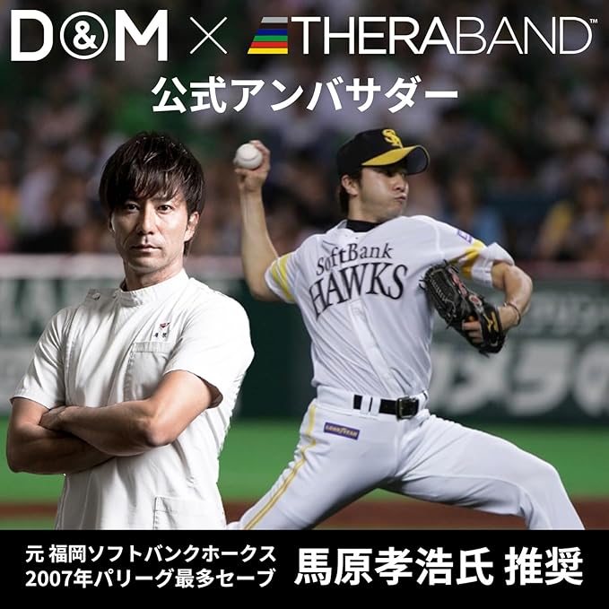セラバンド トレーニングバンド トレーニングチューブ 1m マニュアル付 初心者 レジスタンスバンド フィットネスチューブ ストレッチバンド 筋トレ D&M ディーアンドエム Theraband 国内正規代理店 切って使える