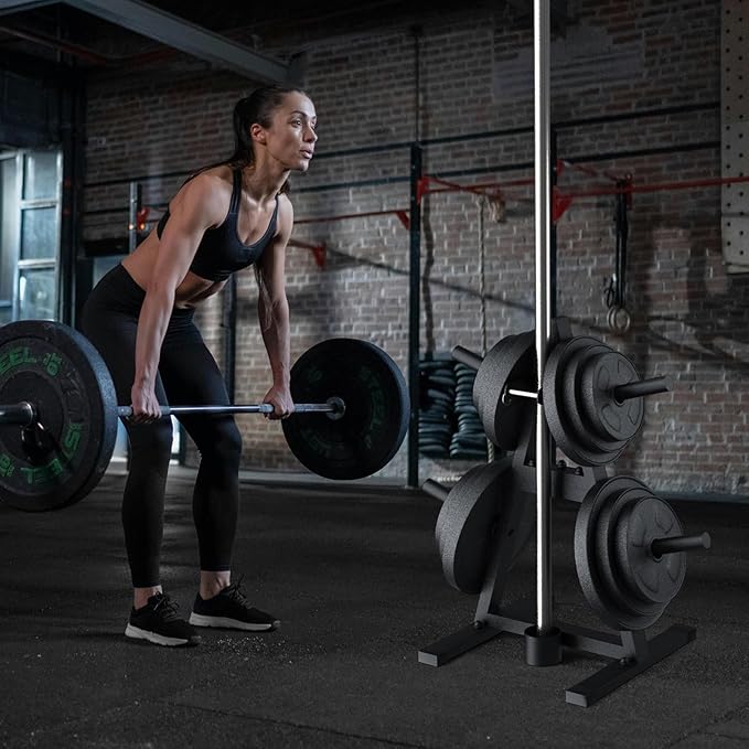 A-Frame Weight Plate Tree for 1" Olympic Plates - Holds 300 lbs, Dumbbell Rack and Home Gym Storage Stand - Organize Your Workout Area