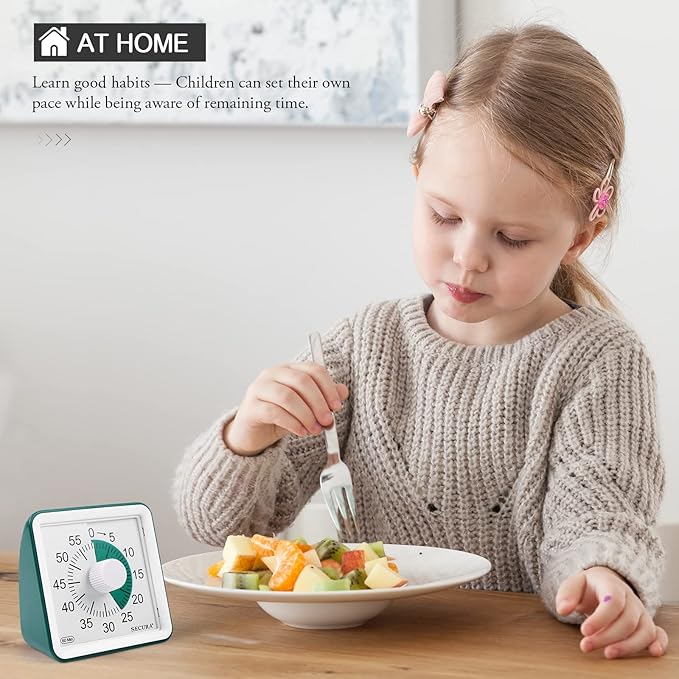 Secura 60-Minute Visual Timer, Classroom Timer, Countdown Timer for Kids and Adults, Time Management Tool for Teaching (Dark Green & Dark Green)