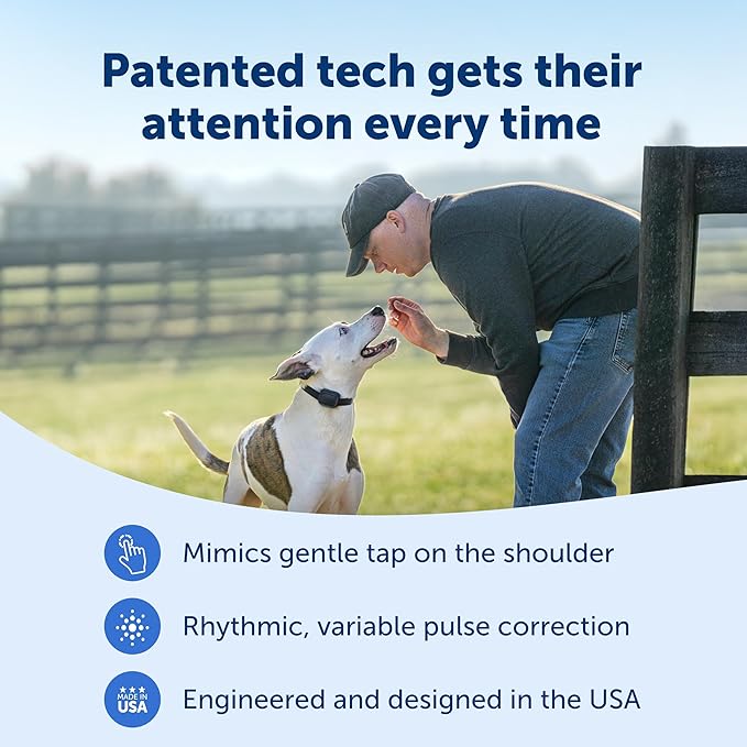 PetSafe Core Dog Trainer with Remote - Effective Dog Training - 15 Levels of Static Correction - Waterproof Collar - Rechargeable Training Collar - Compact Remote Transmitter