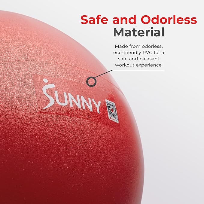 Sunny Health & Fitness Premium Anti-Burst Exercise Balls for Core Strength, Yoga, Pilates, Barre, Physical Therapy, Balance, Flexibility Non-Slip & Odorless